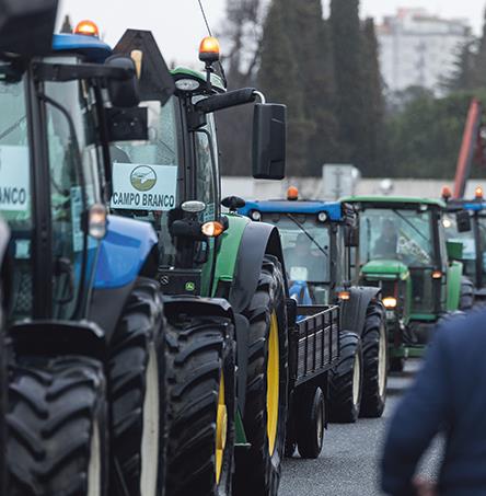 Foto | Ricardo Zambujo/Arquivo