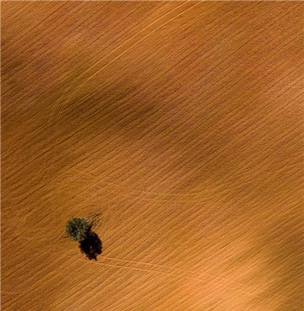 Foto | Ricardo Zambujo