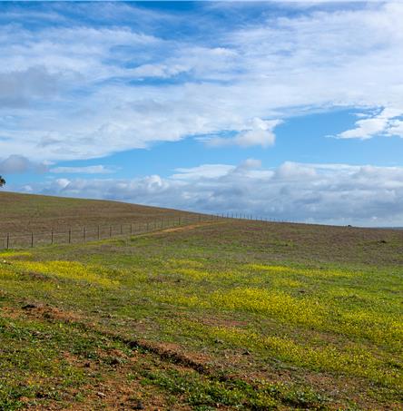 Foto | Ricardo Zambujo