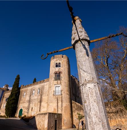 Foto | Ricardo Zambujo