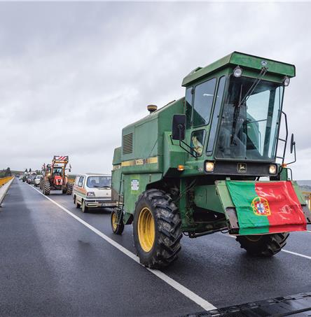 Foto | Ricardo Zambujo