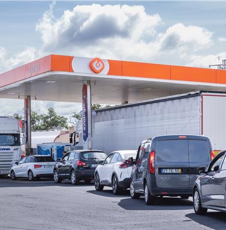 Foto | Ricardo Zambujo