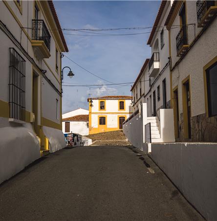 Foto | Ricardo Zambujo