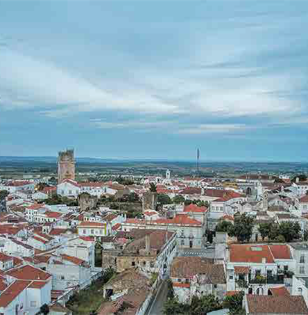 Foto | Ricardo Zambujo