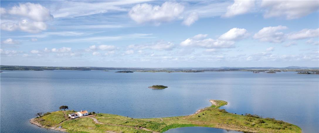 Foto | Ricardo Zambujo