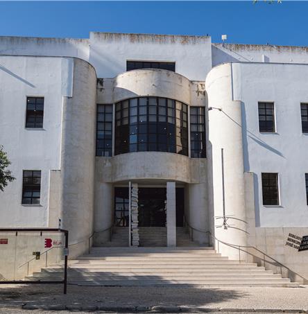 Fotos | Ricardo Zambujo