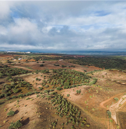 Foto | Ricardo Zambujo