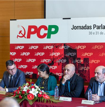 Foto | Ricardo Zambujo