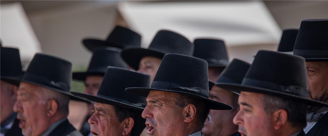 Foto| Ricardo Zambujo