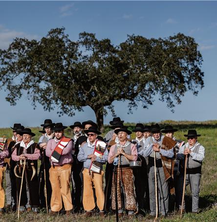 Foto | Ricardo Zambujo