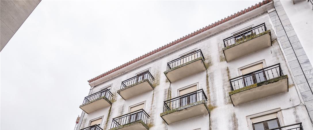 Foto| Ricardo Zambujo