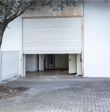 Foto | Ricardo Zambujo