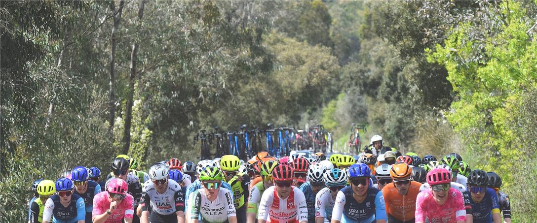 Foto | Firmino Paixão