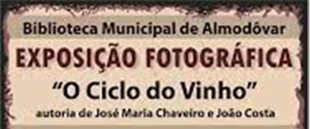 Foto | Câmara Municipal de Almodôvar