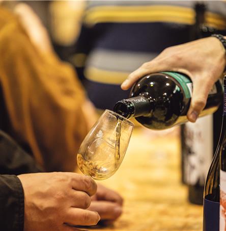 Foto | Ricardo Zambujo