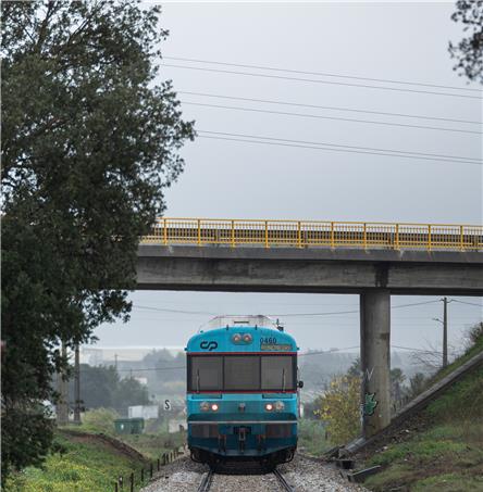 Foto | Ricardo Zambujo