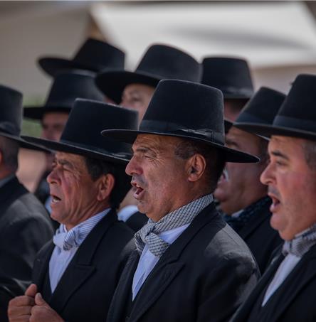 Foto | Ricardo Zambujo