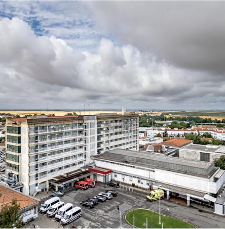 Foto | Ricardo Zambujo