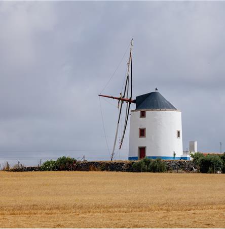 Foto | Ricardo Zambujo