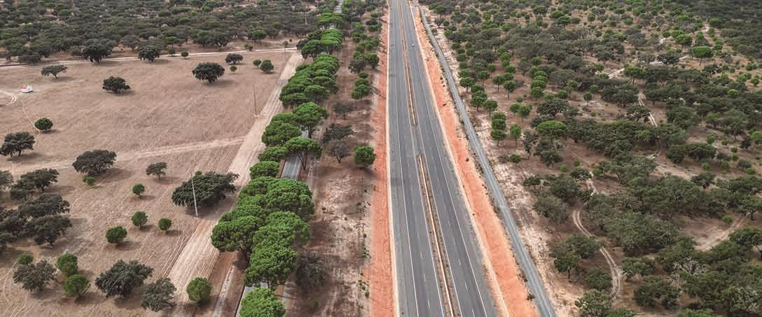 Foto | Ricardo Zambujo