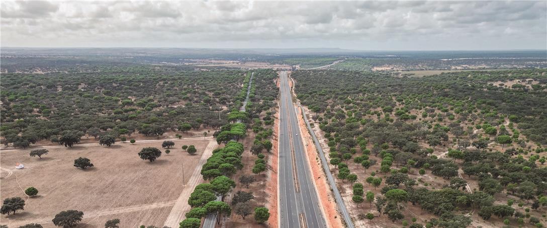 Foto | Ricardo Zambujo