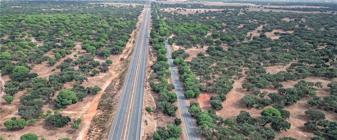 Foto| Ricardo Zambujo