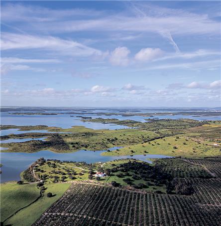 Foto| Ricardo Zambujo