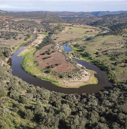 Foto | Ricardo Zambujo