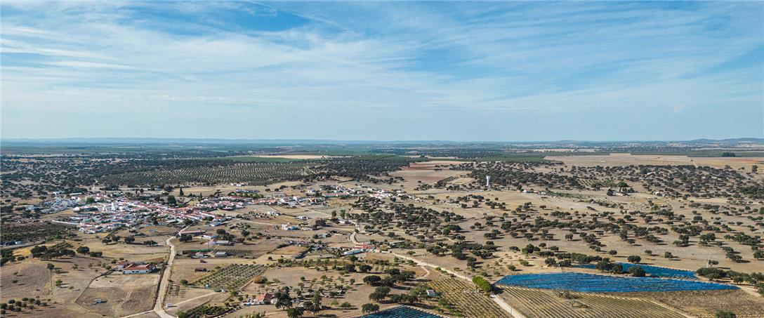 Foto | Ricardo Zambujo