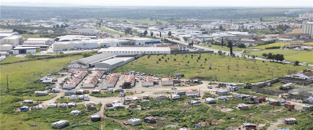 Foto | Ricardo Zambujo