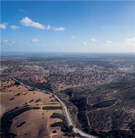 Foto| Ricardo Zambujo