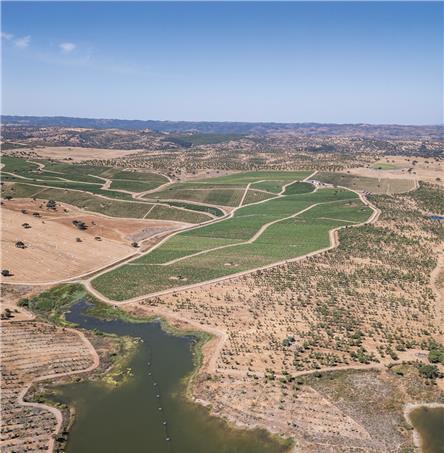 Foto | Ricardo Zambujo