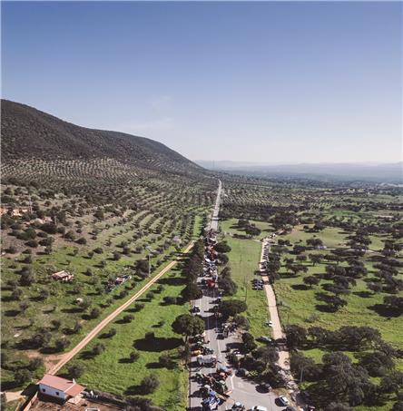 Foto| Ricardo Zambujo