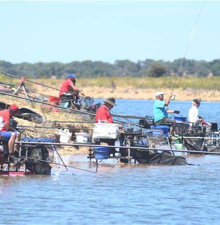 Foto | Firmino Paixão