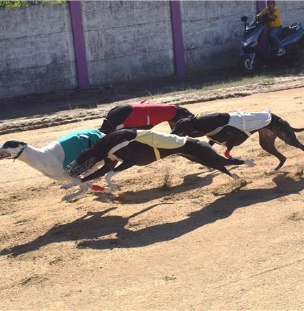 Foto | Firmino Paixão
