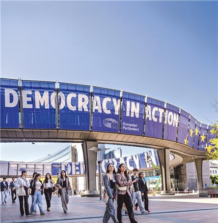 Fotos | Ricardo Zambujo