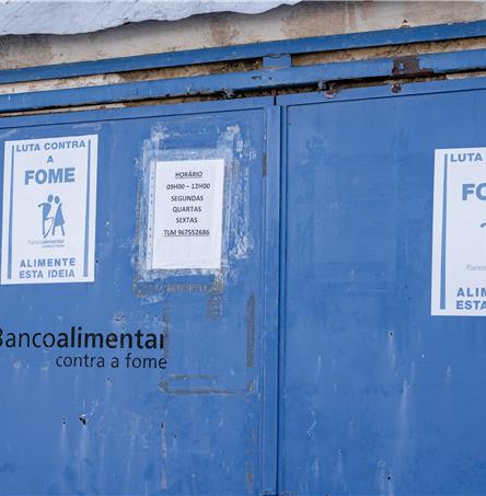 Foto | Ricardo Zambujo