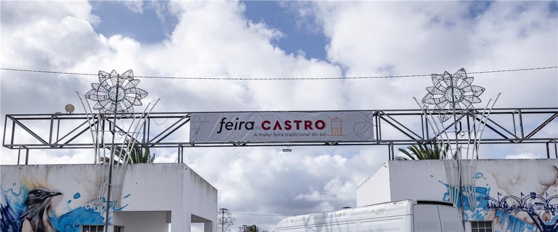 Foto | Ricardo Zambujo