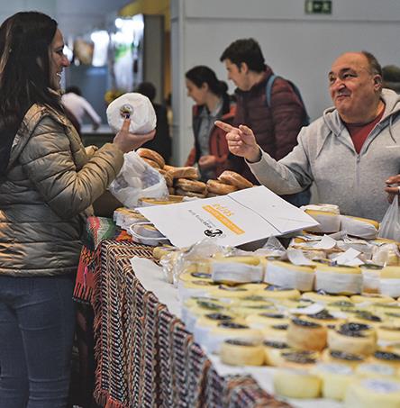 Foto | CM Serpa/Rui Cambraia