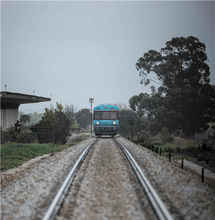 Fotos | Ricardo Zambujo