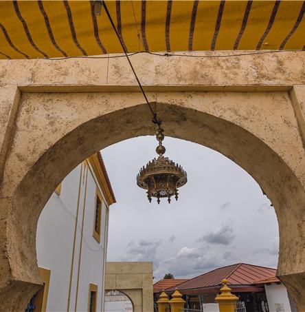 Foto | Ricardo Zambujo