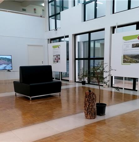 Foto | Instituto Politécnico de Beja