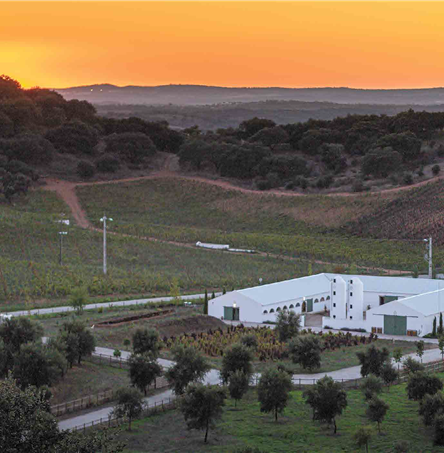 Foto | Ricardo Zambujo