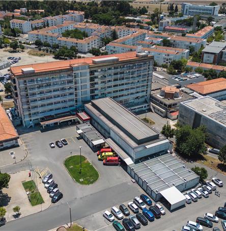 Foto | Ricardo Zambujo