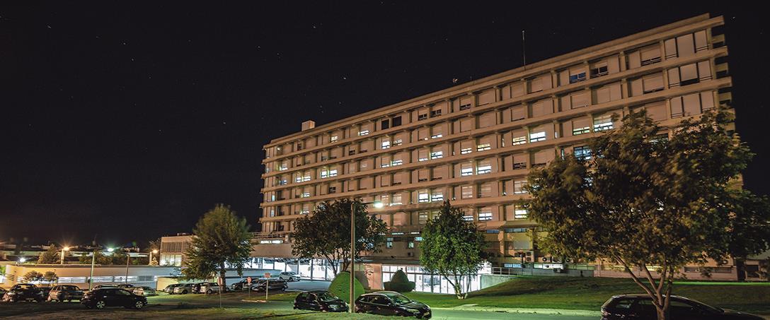 Foto | Ricardo Zambujo