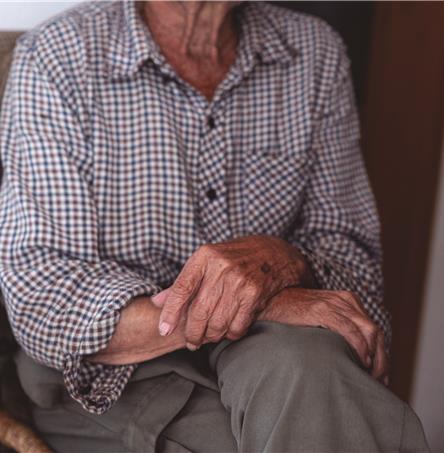 Foto | Ricardo Zambujo