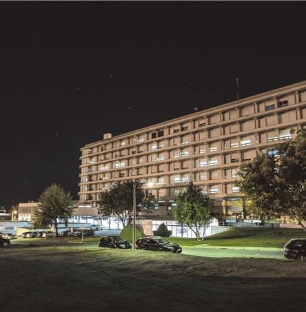 Foto | Ricardo Zambujo