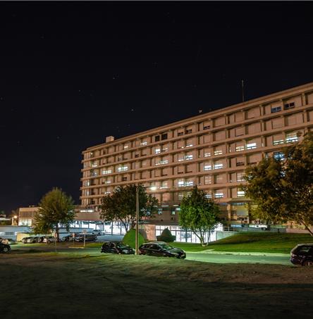 Foto | Ricardo Zambujo