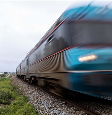 Foto | Ricardo Zambujo