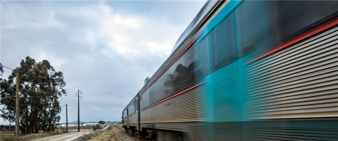 Foto| Ricardo Zambujo